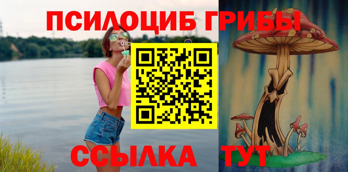 Галлюциногенные грибы Psilocybine cubensis Омск